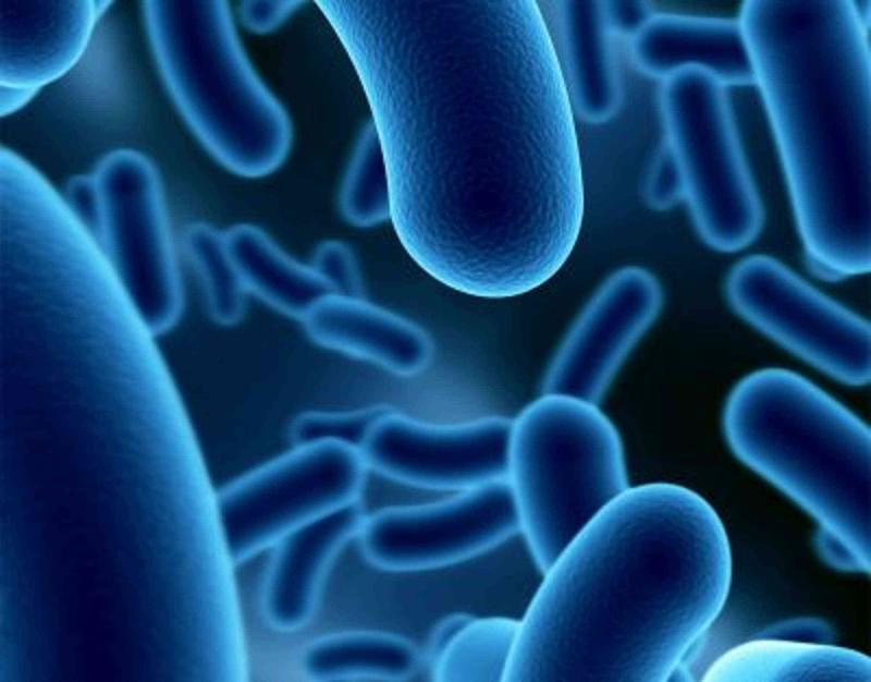 7Th Microbiome And Probiotics