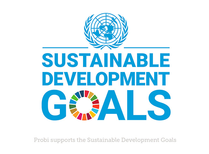 Sustainability Un Goals 720X530