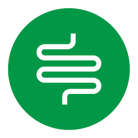 Digestive health icon